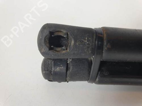 Tailgate lift support RENAULT SCÉNIC II (JM0/1_) 1.5 dCi (JM0F) | BP14977051C138 