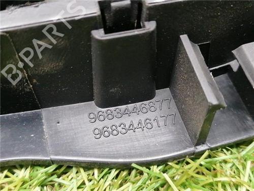 Rear left interior door handle CITROËN C3 II (SC_) 1.0 VTi 68 | BP31935405I15