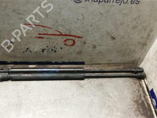 tailgate-lift-support-renault-clio-ii-bb_-cb_-1998-1999-2000-2001-2002-2003-2004-2005-2006-2007-2008-2009-2010-2011-2012-2013-2014-2015-2016-31891369 main image