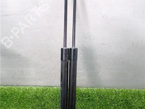 tailgate-lift-support-dacia-sandero-iii-2021-33835588 main image