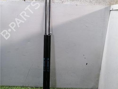 tailgate-lift-support-citroen-c4-picasso-i-mpv-ud_-2006-2007-2008-2009-2010-2011-2012-2013-2014-2015-36146453 main image
