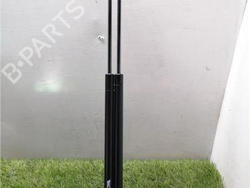 Used Tailgate lift support Tailgate lift support CITROËN C4 Picasso I MPV (UD_) 1.6 HDi (109 hp) 36452910 36452910