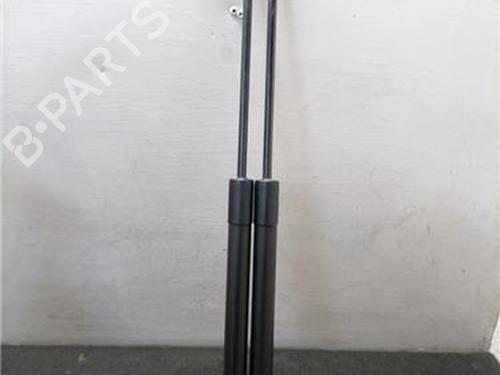 tailgate-lift-support-citroen-c3-ii-sc_-2009-33221691 main image