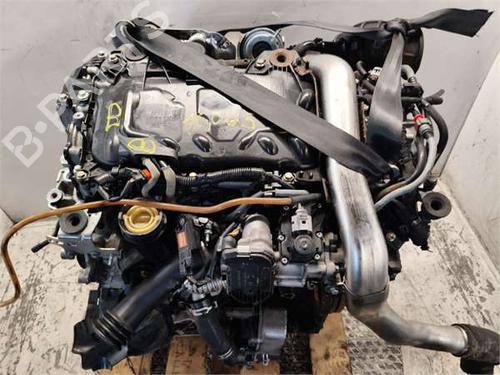 Engine RENAULT SCÉNIC II (JM0/1_) 2.0 dCi (JM1K) | BP36873488M1  - Image 5