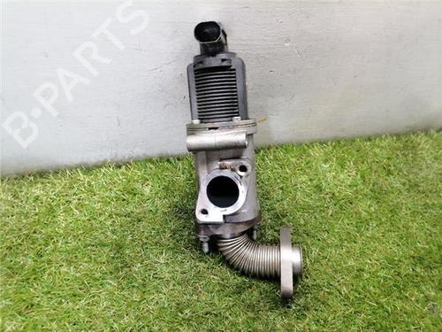 Egr Egr FIAT GRANDE PUNTO (199_) 1.4 (199AXB1A) (75 hp) 36146429 36146429