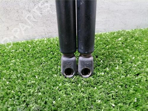 Tailgate lift support RENAULT CLIO II Hatchback Van (SB0/1/2_) 1.2 (SB0A, SB0F, SB1K, SB2D) | BP32486472C138