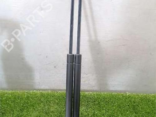 tailgate-lift-support-vw-golf-v-1k1-2003-2004-2005-2006-2007-2008-2009-2010-36311428 main image