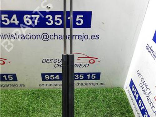 Used Tailgate lift support FORD FOCUS C-MAX (DM2) 1.6 TDCi (109 hp) 31892036