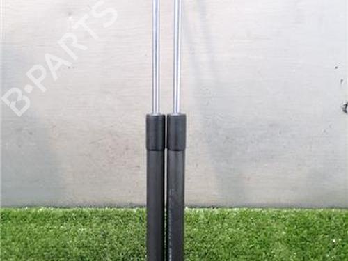 Used Tailgate lift support RENAULT CLIO III (BR0/1, CR0/1) 1.5 dCi (BR17, CR17) (86 hp) 31901918