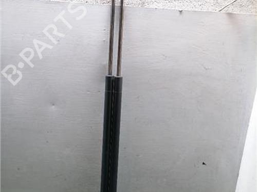 Used Tailgate lift support Tailgate lift support FORD FIESTA V (JH_, JD_) 1.4 TDCi (68 hp) 34176032 34176032