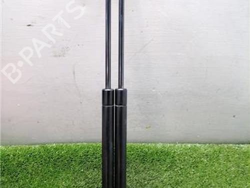 tailgate-lift-support-renault-clio-iii-br01-cr01-2005-2006-2007-2008-2009-2010-2011-2012-2013-2014-36453007 main image