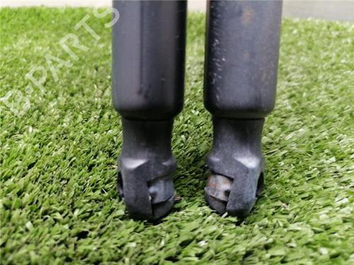 Tailgate lift support VW GOLF VII Variant (BA5, BV5) 1.6 TDI | BP32431795C138