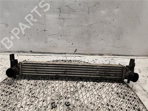 Used Intercooler Intercooler SKODA FABIA II Combi (545) 1.6 TDI (90 hp) 34105986 34105986