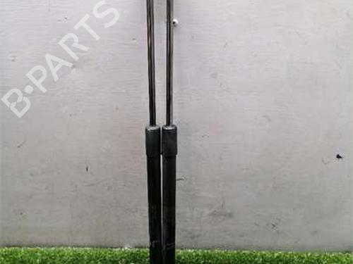 tailgate-lift-support-toyota-yaris-_p9_-2005-2006-2007-2008-2009-2010-2011-2012-2013-2014-36053518 main image