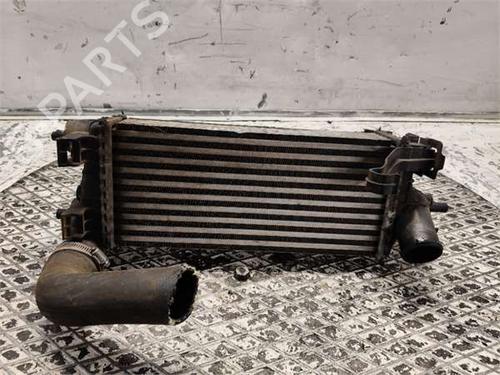 Intercooler Intercooler FORD C-MAX II (DXA/CB7, DXA/CEU) 1.0 EcoBoost (125 hp) 37479750 37479750
