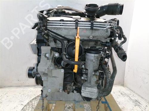 Used Engine Engine SEAT IBIZA III (6L1) 1.9 TDI (100 hp) 33769851 33769851