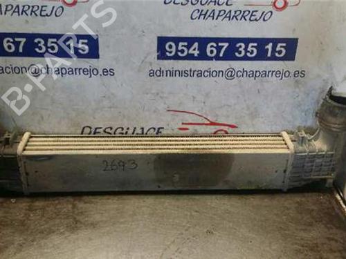 Intercooler SEAT ALHAMBRA (7V8, 7V9) 1.9 TDI (90 hp) 31895650