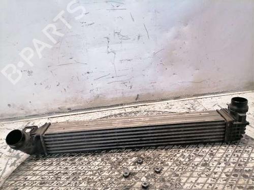 Ladeluftkühler für Ladeluftkühler RENAULT MEGANE III Hatchback (BZ0/1_, B3_) 1.2 TCe (BZ2B, BZ11) (116 hp) 36382844 36382844