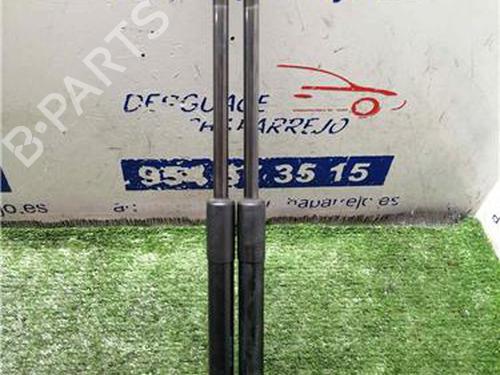 Used Tailgate lift support CITROËN C6 (TD_) 2.7 HDi (204 hp) 31893024