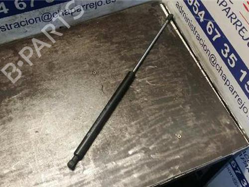 hood-lift-support-renault-laguna-ii-bg01_-2001-2002-2003-2004-2005-2006-2007-31888984 main image