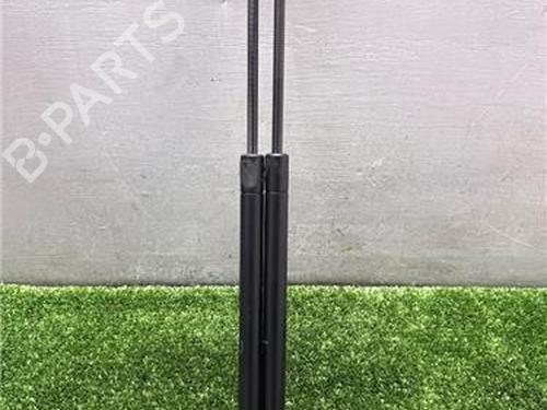 tailgate-lift-support-toyota-auris-_e15_-2006-2007-2008-2009-2010-2011-2012-2013-33415622 main image