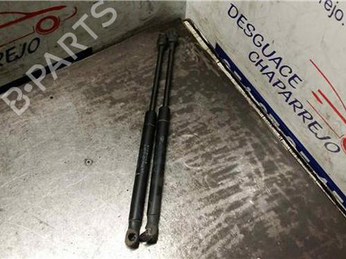 Used Tailgate lift support RENAULT MEGANE II (BM0/1_, CM0/1_) 1.5 dCi (BM02, BM13, BM2A, CM02, CM13) (101 hp) 31891186