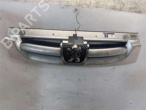 Used Grille Grille 38004851 38004851
