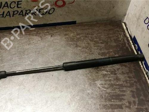 tailgate-lift-support-renault-megane-ii-bm01_-cm01_-2001-2002-2003-2004-2005-2006-2007-2008-2009-2010-2011-2012-31891210 main image