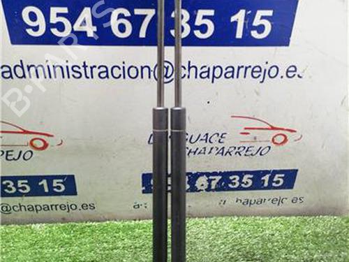 tailgate-lift-support-toyota-corolla-_e12_-2001-2002-2003-2004-2005-2006-2007-2008-31892874 main image