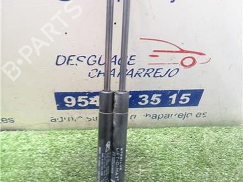Used Tailgate lift support RENAULT MEGANE II (BM0/1_, CM0/1_) 1.9 dCi (BM0G, CM0G) (120 hp) 31892458