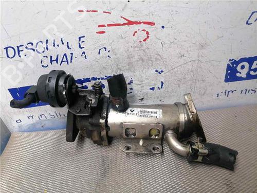 Egr RENAULT MEGANE II (BM0/1_, CM0/1_) 2.0 dCi (BM1K, CM1K) (150 hp) 31899921