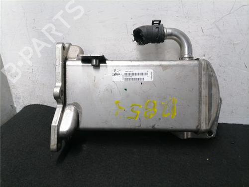 Egr AUDI Q5 (8RB) 2.0 TDI quattro (170 hp) 31901097