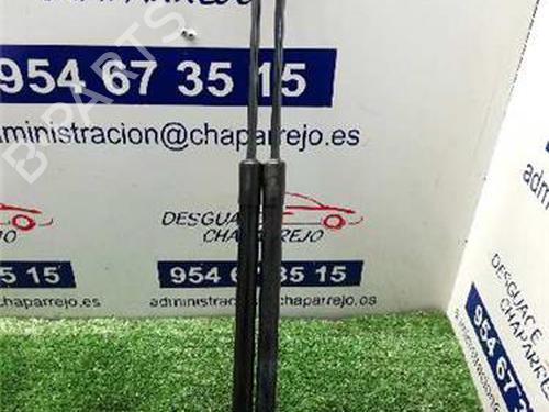 Used Tailgate lift support OPEL VECTRA C Estate (Z02) 1.9 CDTI (F35) (120 hp) 31891903