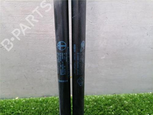 Tailgate lift support RENAULT CLIO II Hatchback Van (SB0/1/2_) 1.2 (SB0A, SB0F, SB1K, SB2D) | BP32486472C138