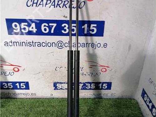 tailgate-lift-support-ford-focus-c-max-dm2-2003-2004-2005-2006-2007-31893941 main image