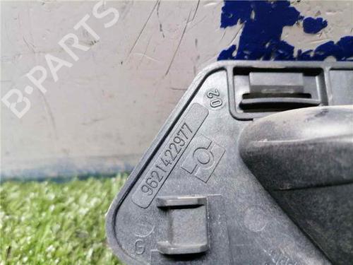 Front left interior door handle PEUGEOT PARTNER MPV (5_, G_) 1.9 D | BP31900199I13