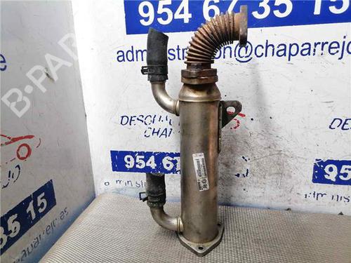 Egr HYUNDAI SANTA FÉ II (CM) 2.2 CRDi (155 hp) 31900013