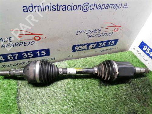 BP31893083M38 main image