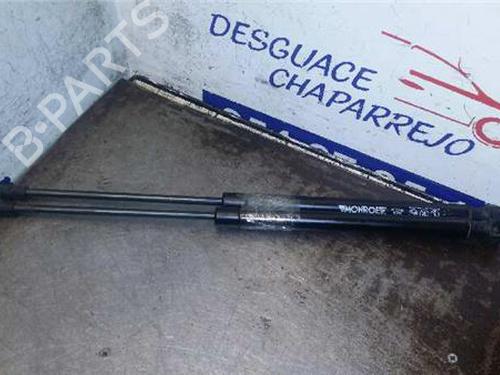 tailgate-lift-support-vw-golf-v-1k1-2003-2004-2005-2006-2007-2008-2009-2010-31891442 main image