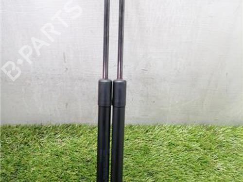 tailgate-lift-support-renault-megane-iii-hatchback-bz01_-b3_-2008-33278484 main image