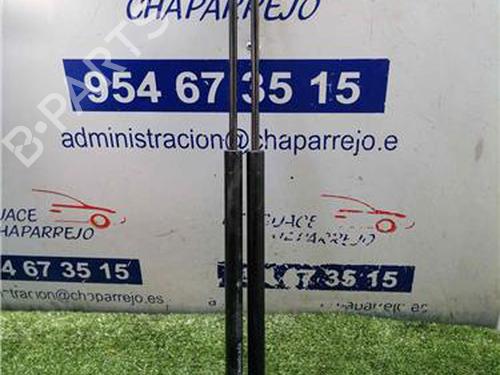 tailgate-lift-support-renault-scenic-ii-jm01_-2003-2004-2005-2006-2007-2008-2009-2010-31893956 main image