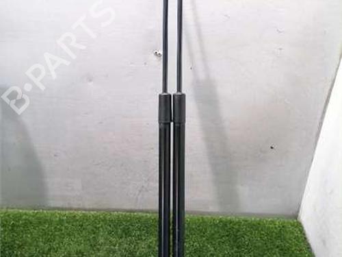 tailgate-lift-support-citroen-c4-picasso-i-mpv-ud_-2006-2007-2008-2009-2010-2011-2012-2013-2014-2015-36544045 main image
