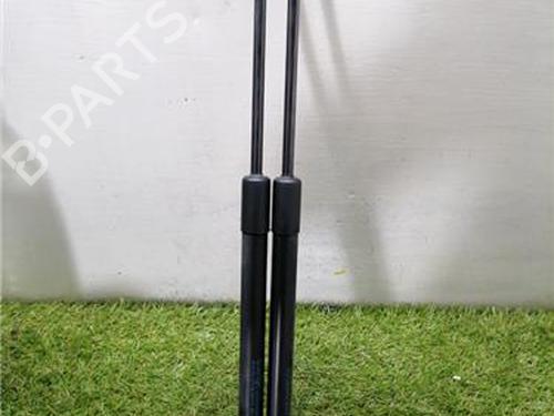 Vérin de coffre/hayon SUZUKI SX4 Saloon (GY, RW) 1.6 (RW416) (120 hp) 31911445