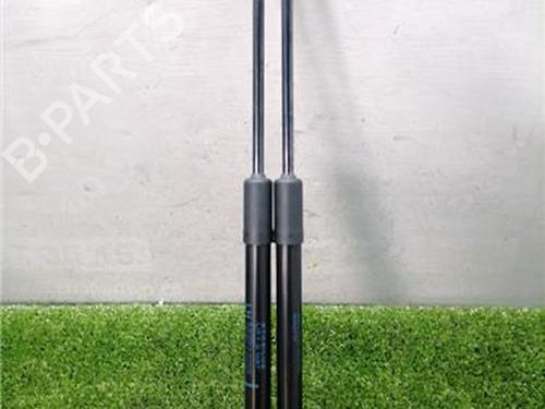 tailgate-lift-support-dacia-sandero-iii-2021-33947779 main image