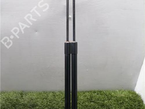 Used Tailgate lift support NISSAN X-TRAIL II (T31) 2.0 dCi 4x4 (150 hp) 31901865