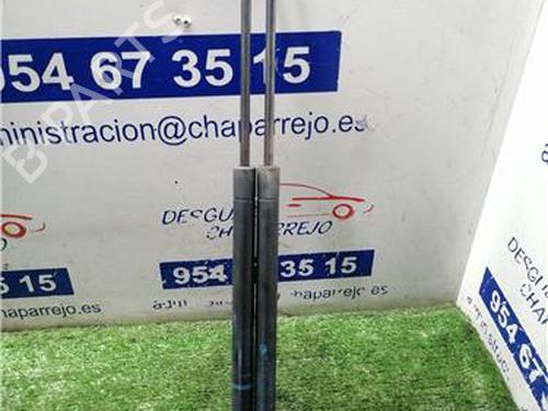 tailgate-lift-support-renault-scenic-ii-jm01_-2003-2004-2005-2006-2007-2008-2009-2010-31892540 main image