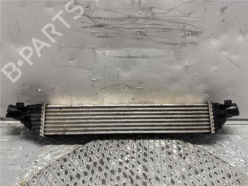 Intercooler FIAT FREEMONT (345_) 2.0 JTD (140 hp) 31901729