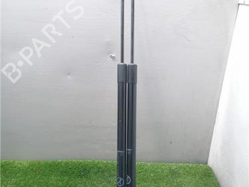 Used Tailgate lift support FORD C-MAX II (DXA/CB7, DXA/CEU) 1.0 EcoBoost (125 hp) 31935297