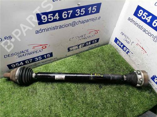 Used Right front driveshaft VW GOLF PLUS V (5M1, 521) 1.6 TDI (105 hp) 31893990