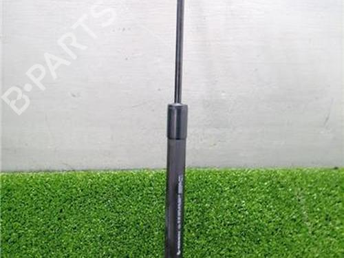 hood-lift-support-renault-clio-iv-bh_-2012-2013-2014-2015-2016-2017-2018-2019-2020-2021-32200261 main image